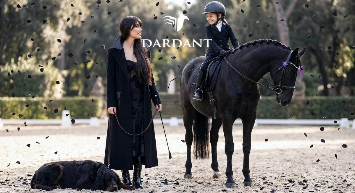 Elegant equestrian woman with horse and rider in arena — Dardant ambassador