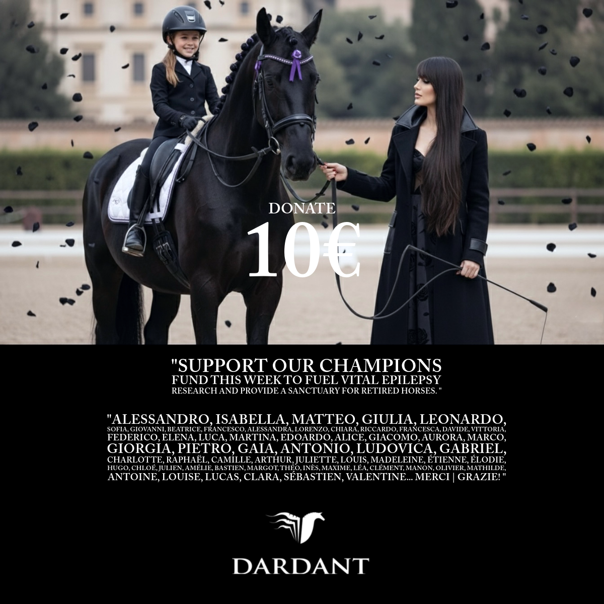 Young equestrian rider on black horse — Dardant Champions Fund